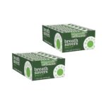 Breath Savers Spearmint Naturally Flavored, Sugar Free Mints ( 0.75 Ounce, 24 Count )