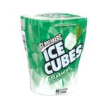 Ice Breakers Cubes Bottle Spearmint 40pcs 6CT