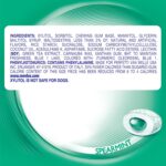 Mentos Gum Bottle Spearmint 50pcs 6CT - Image 6