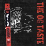 Jack Links Wild Beef Sticks Original 22oz 24ct - Image 2