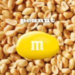 M&M Chocolate Candy Peanut Pack of 24 - Image 3
