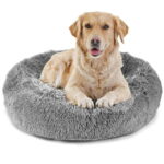 Pet Supplies